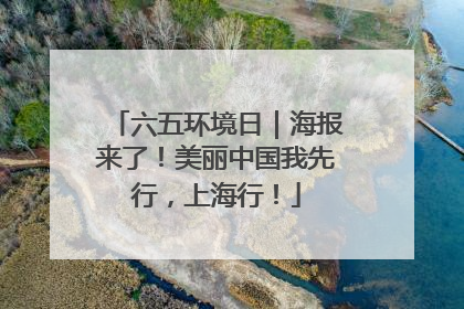 六五环境日｜海报来了！美丽中国我先行，上海行！