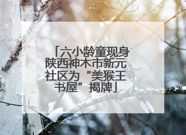 六小龄童现身陕西神木市新元社区为“美猴王书屋”揭牌
