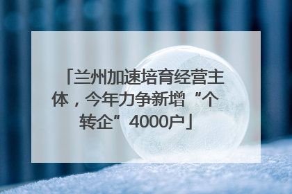 兰州加速培育经营主体，今年力争新增“个转企”4000户