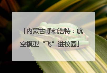 内蒙古呼和浩特：航空模型“飞”进校园