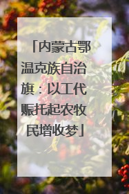 内蒙古鄂温克族自治旗：以工代赈托起农牧民增收梦