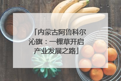 内蒙古阿鲁科尔沁旗：一棵草开启产业发展之路