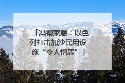 冯德莱恩：以色列打击加沙民用设施“令人憎恶”