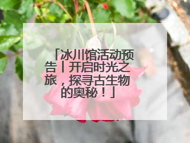 冰川馆活动预告丨开启时光之旅，探寻古生物的奥秘！