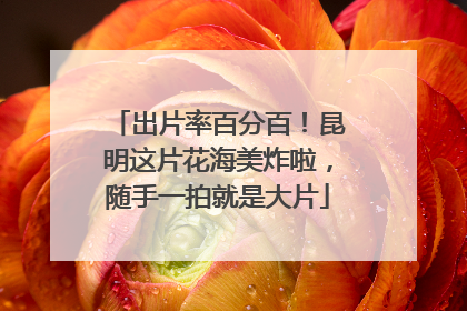 出片率百分百！昆明这片花海美炸啦，随手一拍就是大片