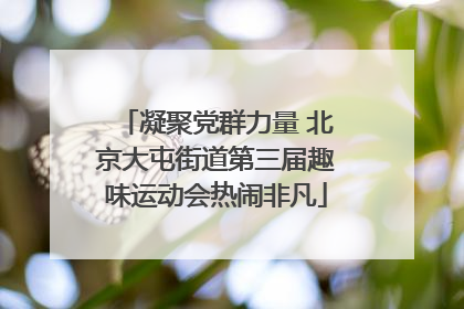 凝聚党群力量 北京大屯街道第三届趣味运动会热闹非凡