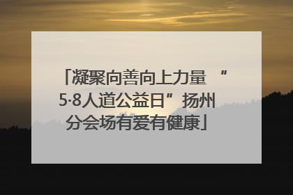 凝聚向善向上力量 “5·8人道公益日”扬州分会场有爱有健康