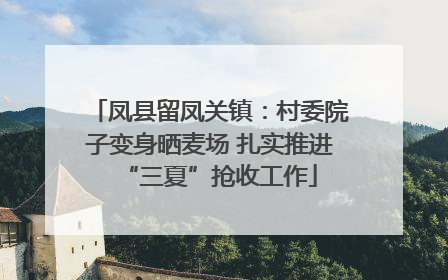 凤县留凤关镇：村委院子变身晒麦场 扎实推进“三夏”抢收工作