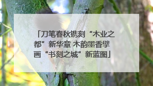 刀笔春秋镌刻“木业之都”新华章 木韵墨香擘画“书刻之城”新蓝图