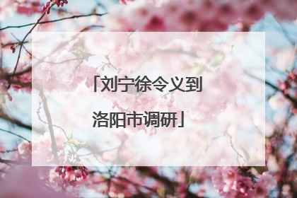 刘宁徐令义到洛阳市调研