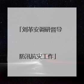 刘革安调研督导防汛抗灾工作