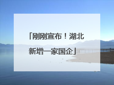 刚刚宣布！湖北新增一家国企