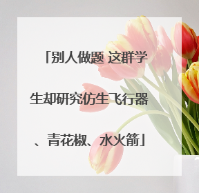 别人做题 这群学生却研究仿生飞行器、青花椒、水火箭