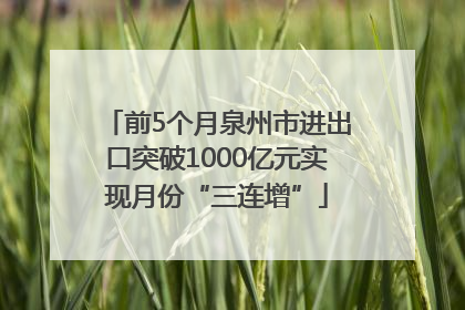 前5个月泉州市进出口突破1000亿元实现月份“三连增”