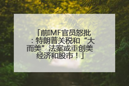 前IMF官员怒批：特朗普关税和“大而美”法案或重创美经济和股市！