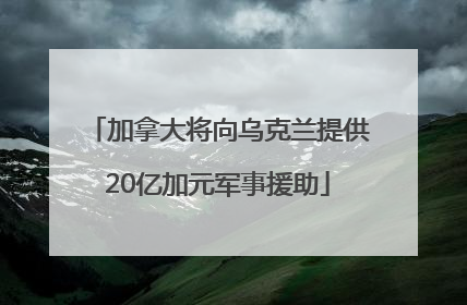 加拿大将向乌克兰提供20亿加元军事援助