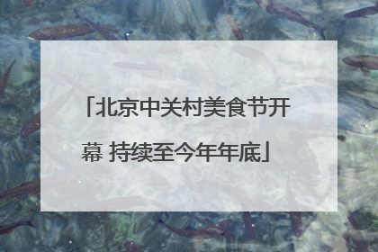 北京中关村美食节开幕 持续至今年年底