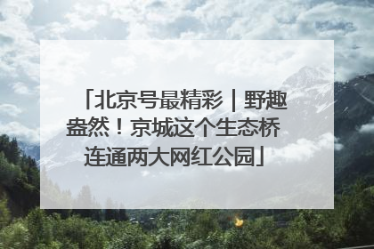 北京号最精彩｜野趣盎然！京城这个生态桥连通两大网红公园