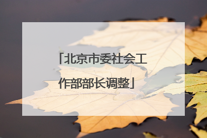 北京市委社会工作部部长调整