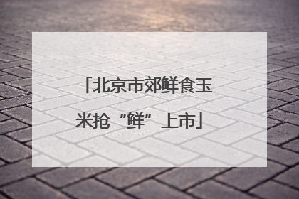 北京市郊鲜食玉米抢“鲜”上市
