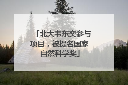 北大韦东奕参与项目，被提名国家自然科学奖