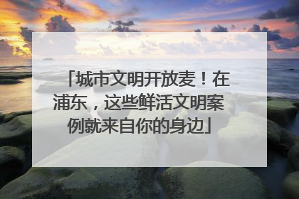 城市文明开放麦！在浦东，这些鲜活文明案例就来自你的身边
