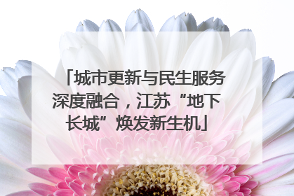 城市更新与民生服务深度融合，江苏“地下长城”焕发新生机