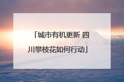 城市有机更新 四川攀枝花如何行动