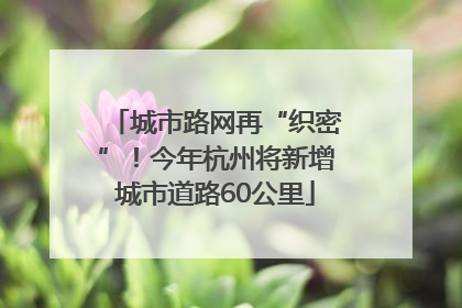 城市路网再“织密”！今年杭州将新增城市道路60公里
