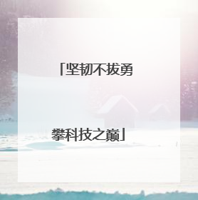 坚韧不拔勇攀科技之巅
