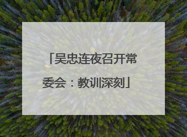吴忠连夜召开常委会：教训深刻