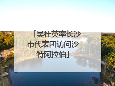 吴桂英率长沙市代表团访问沙特阿拉伯