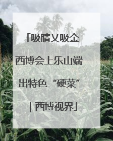 吸睛又吸金 西博会上乐山端出特色“硬菜”｜西博视界