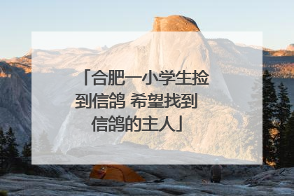 合肥一小学生捡到信鸽 希望找到信鸽的主人