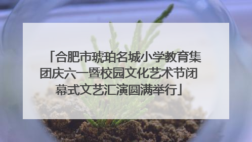 合肥市琥珀名城小学教育集团庆六一暨校园文化艺术节闭幕式文艺汇演圆满举行