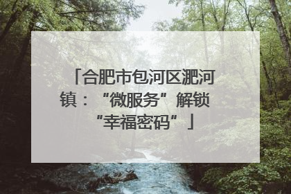 合肥市包河区淝河镇：“微服务”解锁“幸福密码”