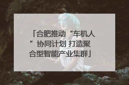 合肥推动“车机人”协同计划 打造聚合型智能产业集群