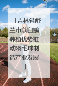 吉林省舒兰市以白鹅养殖优势推动羽毛球制造产业发展