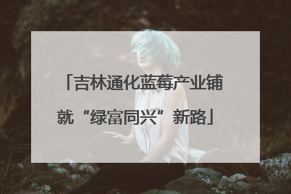 吉林通化蓝莓产业铺就“绿富同兴”新路