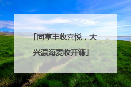 同享丰收喜悦，大兴瀛海麦收开镰
