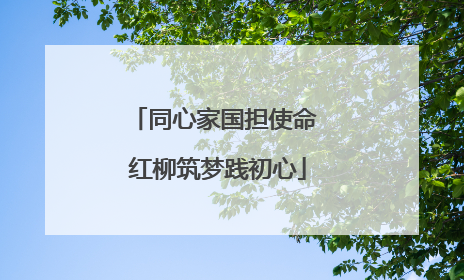同心家国担使命 红柳筑梦践初心