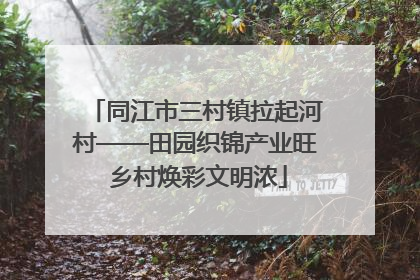 同江市三村镇拉起河村——田园织锦产业旺 乡村焕彩文明浓