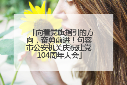 向着党旗指引的方向，奋勇前进！句容市公安机关庆祝建党104周年大会