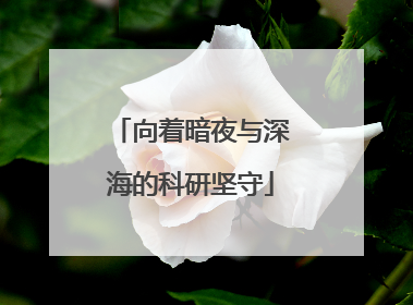 向着暗夜与深海的科研坚守
