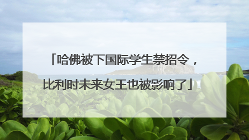 哈佛被下国际学生禁招令，比利时未来女王也被影响了