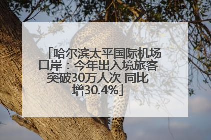 哈尔滨太平国际机场口岸：今年出入境旅客突破30万人次 同比增30.4%