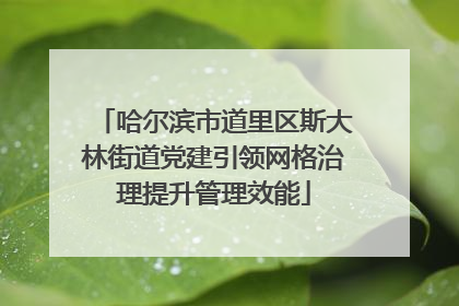 哈尔滨市道里区斯大林街道党建引领网格治理提升管理效能