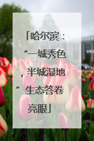 哈尔滨：“一城秀色，半城湿地”生态答卷亮眼