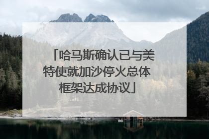 哈马斯确认已与美特使就加沙停火总体框架达成协议