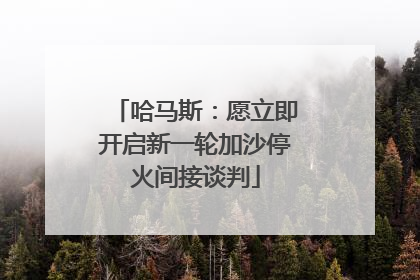 哈马斯：愿立即开启新一轮加沙停火间接谈判